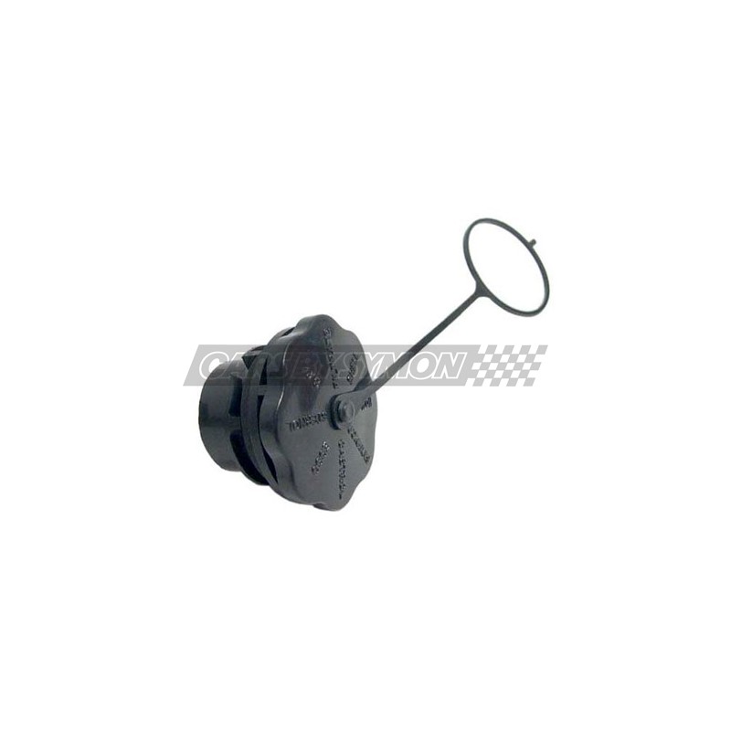 TAPON TAPA BALANCINES SPRIDGET/MGB/MINI (PLASTICO)