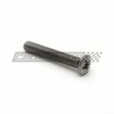 TORNILLO PILOTO MATRICULA...