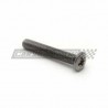 TORNILLO PILOTO MATRICULA...