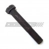 12G1398 TORNILLO BANCADA PARA MINI 1275