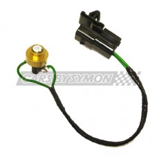 INTERRUPTOR PEDAL...