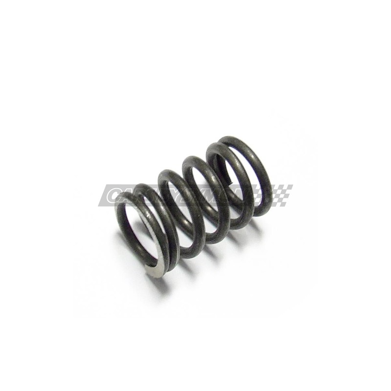 MUELLE VALVULA MINI 850 / 1000 / 1100 STD