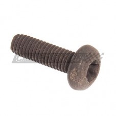 TORNILLO RADIADOR MINI MPI