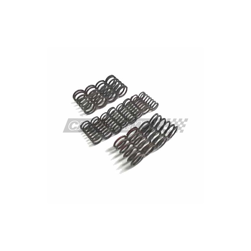 MUELLE VALVULA MG A / B71 (KIT)
