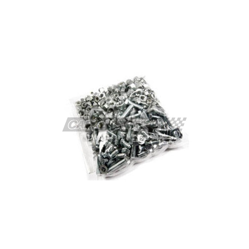 TORNILLERIA MINI/MG/TRIUMPH (KIT 400 PIEZAS APROX)