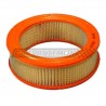 FILTRO AIRE TRIUMPH TR6,250&C