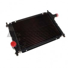 RADIADOR AGUA MINI MPI DELANTERO