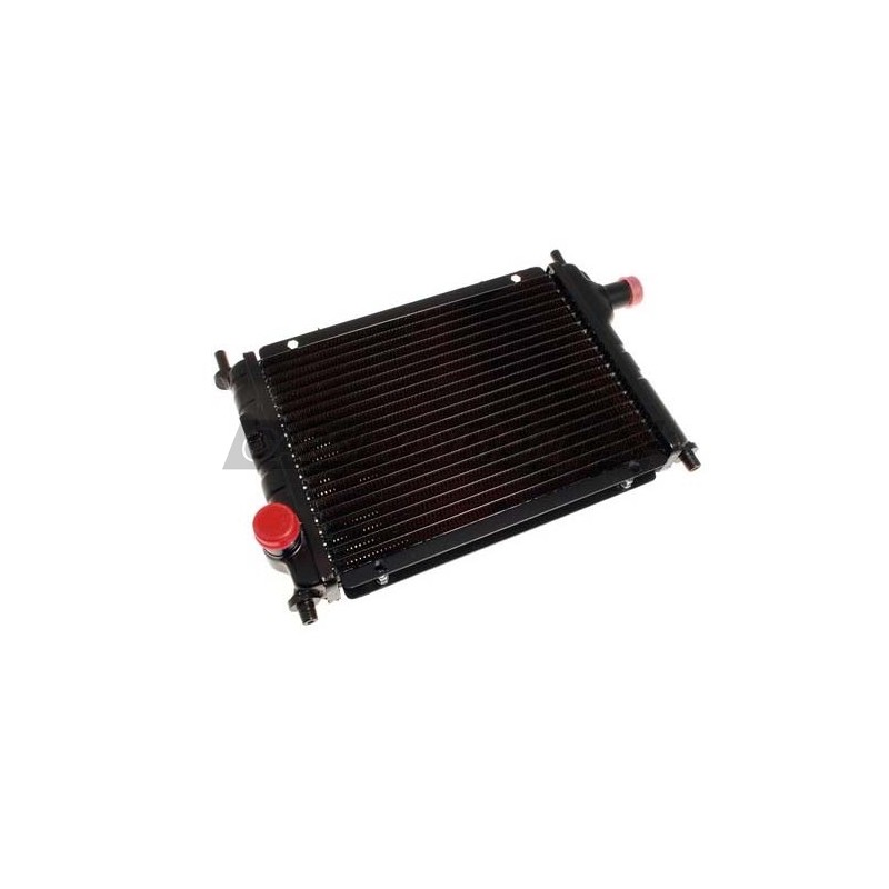 RADIADOR AGUA MINI MPI DELANTERO